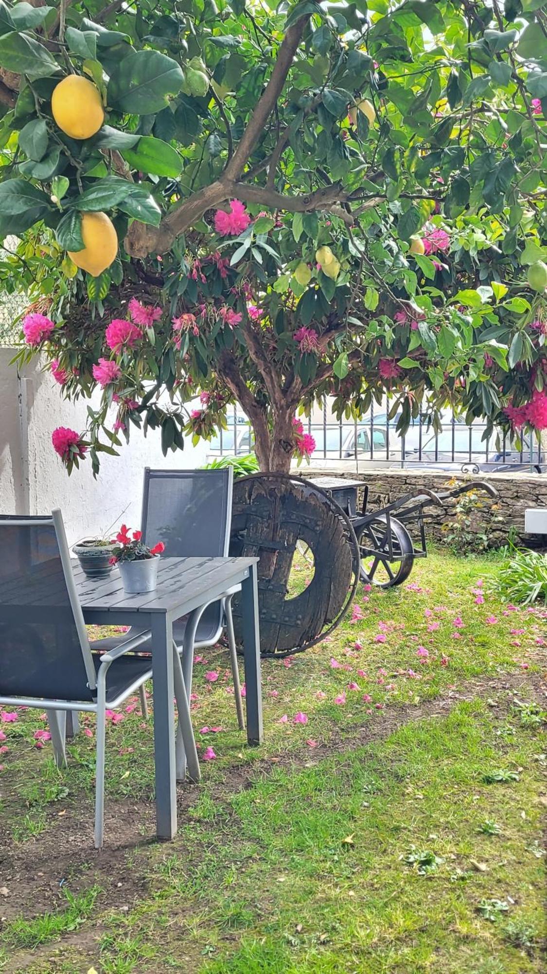 Besbello Suites Apartamento Santiago de Compostela Exterior foto